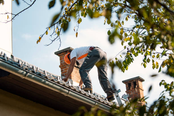 Best Metal Roofing Contractor  in Richlands, NC