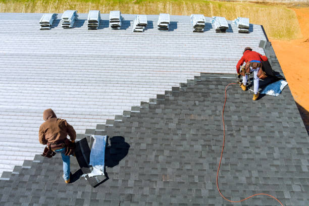 Best Roof Gutter Cleaning  in Richlands, NC