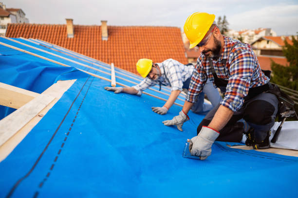Best Roof Maintenance Services  in Richlands, NC
